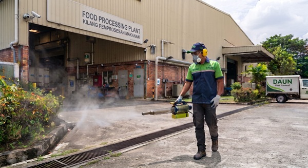 Professional Mosquito Control and Thermal Fogging Services by Daun Pest Control in Selangor and Kuala Lumpur